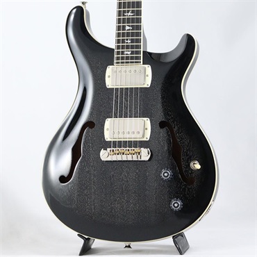 SE Hollowbody Standard (Dog Hair Smokeburst) 【2025年生産品】