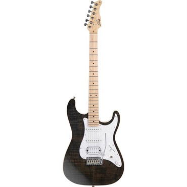 SST-650 (BKS)