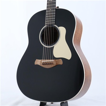 Gold Label 517e テイラー