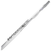 ローランド / Aerophone Brisa デジタル管楽器 AE-BRISA エアロフォン・ブリサ