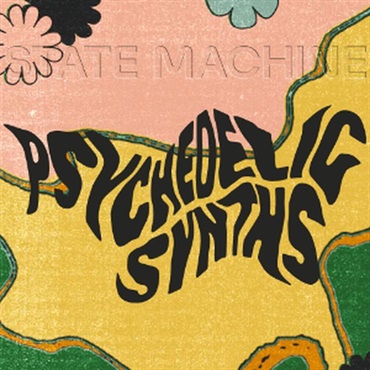 State Machine Psychedelic Synths (サイケデリック)(ヴィンテージシンセサイザー)(オンライン納品)(2時間以内に納品)