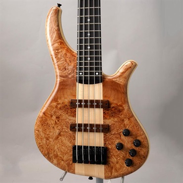 PH9-5 Burl Maple 【夏先取り大特価セール】