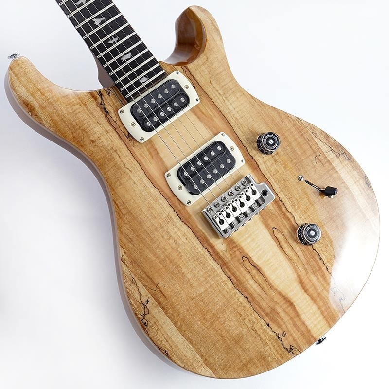 Ikebe Exclusive SE Custom 24 Spalted Veneer (Natural)　SN.CTIH052286 【2025年生産品】の商品画像