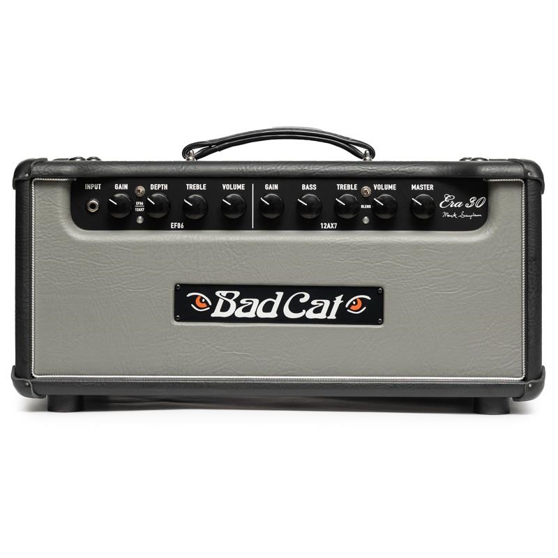 ERA 30 Head Gray（バッドキャット）の商品画像