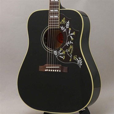 Hummingbird Torch Ebony ギブソン