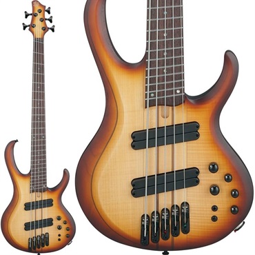 Bass Workshop BTB705LM-NNF [SPOT MODEL] 【特価】 【夏先取り大特価セール】