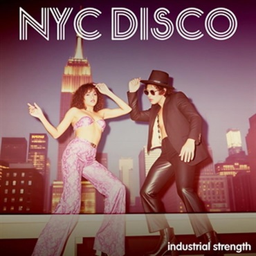 NYC Disco (ディスコサウンド)(サンプルパック)(オンライン納品)(2時間以内に納品)