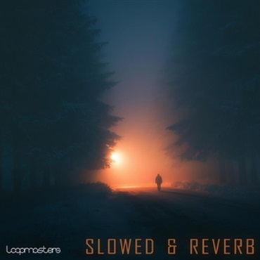 Slowed & Reverb (リバーブ)(アンビエント)(オンライン納品)(2時間以内に納品)