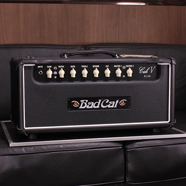CUB V EL34 Head