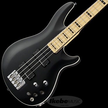 Progauge Artist Model Series PA-TM