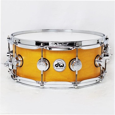 DRS00614SSC104 [Collector's Pure Maple Snare Drum Standard Shell 14×5.5 / Amber Satin Oil]