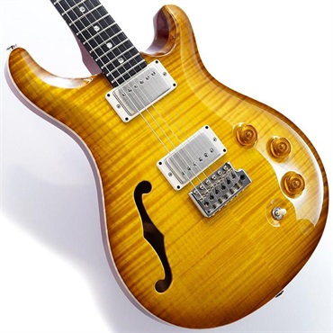 DGT Semi-Hollow Limited Edition (McCarty Sunburst) SN.0391097 【2024年生産品】