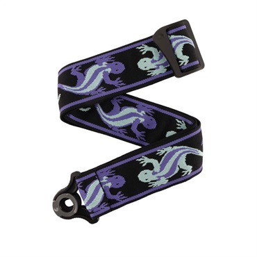 PLANET WAVES Vintage PW Teal Lizards [50BALPW02]