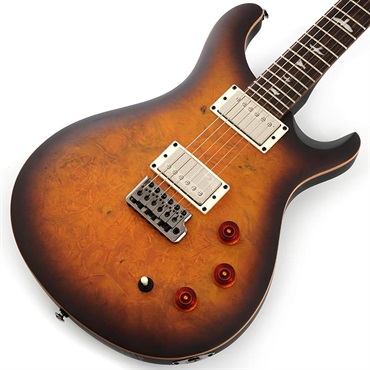 SE DGT Laurel Burl Limited Edition (McCarty Tobacco Burst) SN.CTIG114585 【2024年生産モデル】