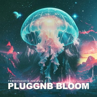 PluggnB Bloom (プラグンビー)(ハイパーポップ)(サンプルパック)(オンライン納品)(2時間以内に納品)