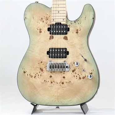 Bacchus Japan Tune-up Series TACTICS24-BP/M (KRB-BS-MH) 【特価】