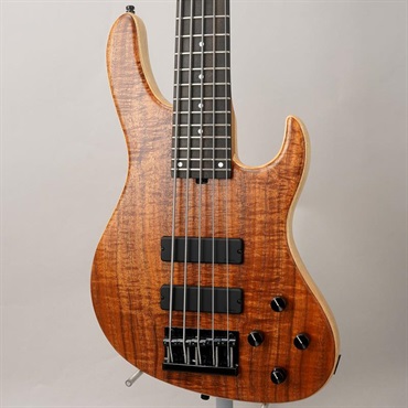 Limited Edition MetroLine 24-Fret Modern Bass 5st (AAA Koa Top) #038