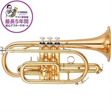 ヤマハ / YCR-4330GII 【Bb コルネット】【5年保証】【出荷前調整で安心】