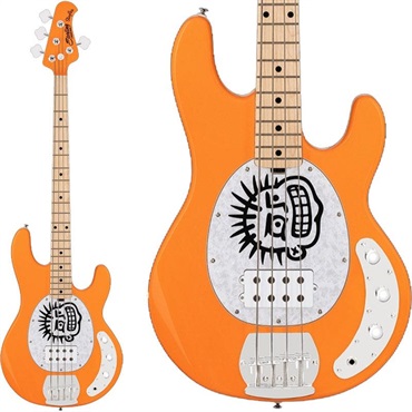 【入荷待ち、ご予約受付中】 HERRERA (Orange Creamsicle)