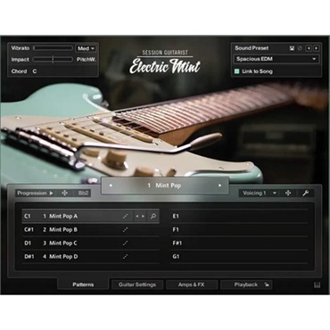 【ネイティブインストルメンツSummer Sale 2026！】Session Guitarist - Electric Mint (エレキギター音源)(KONTAKT PLAYER)(オンライン納品)(2時間以内に納品)