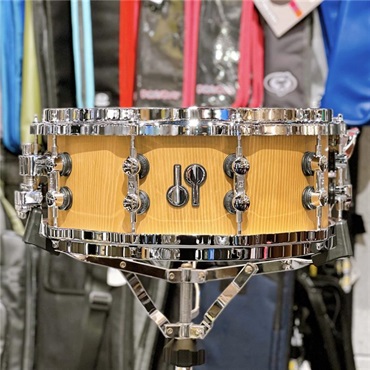 Classical SQ2 14×6 Beech Heavy Snare Drum [ダブルラグ仕様]【店頭展示特価品】