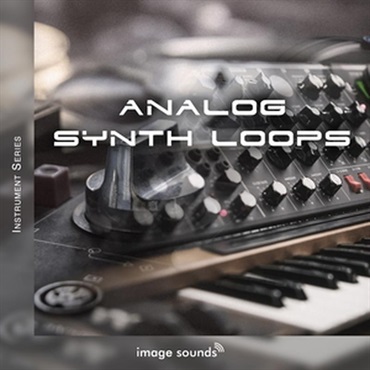 Analog Synth Loops (ヴィンテージ)(アナログシンセ)(ループサウンド)(サンプルパック)(オンライン納品)(2時間以内に納品)