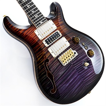 Private Stock #11511 Custom 24-08 Brazilian Rosewood Fingerboard (Zombie Smokeburst)