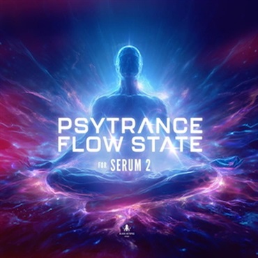 Psytrance Flow State for Serum 2 (Serum 2プリセット)(サイトランス)(プログレッシブサイ)(オンライン納品)(2時間以内に納品)