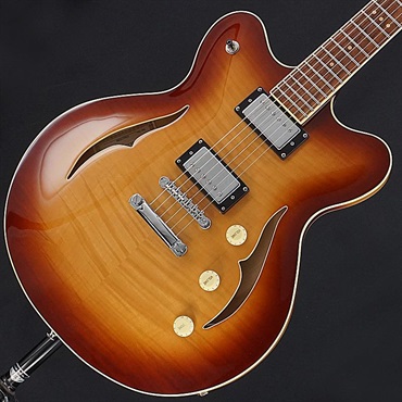 USED 中古 HCT-VTH-SP (Sunburst) [SN.V0411Y090] ヘフナー