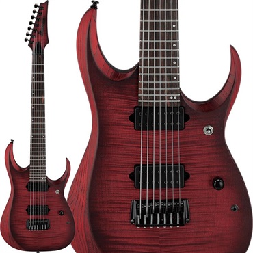 RGD721FA-WUF (Stained Wine Red Burst Flat) [SPOT MODEL]