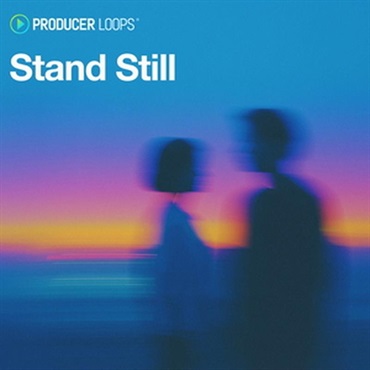 PRODUCER LOOPS Stand Still (アコースティック)(インディーポップ)(サンプルパック)(オンライン納品)(2時間以内に納品)
