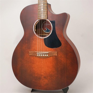EASTMAN 【期間限定！アクセ11点セット付き！】PCH1-GACE-CLA イーストマン