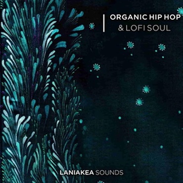 Organic Hip Hop & Lofi Soul (オーガニック)(ヒップホップ)(ソウル)(オンライン納品)(2時間以内に納品)