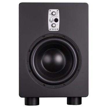 TS110 (受注製品)(アクティブサブウーファー)(10インチ)(パッシブラジエーター)