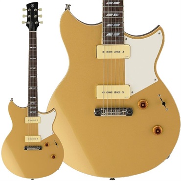 REVSTAR Series RS02CB [SRS02CBHG]