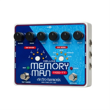 DELUXE MEMORY MAN 1100TT ｱﾅﾛｸﾞﾃﾞｨﾚｲ