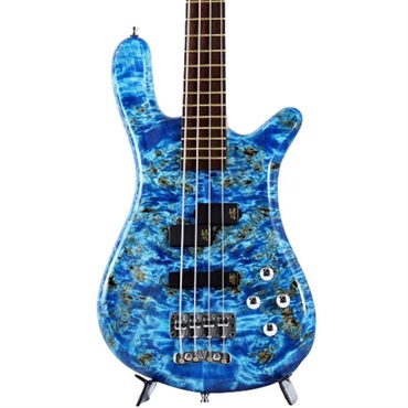 Pro Series Streamer LX 4st Birdseye Poplar Top (Bleached Blue TP HP) [Ikebe 50th Anniversary Special Edition] #013939