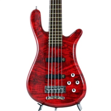 Pro Series Streamer LX 5st Birdseye Poplar Top (Dark Bleached Red TP HP) [Ikebe 50th Anniversary Special Edition] #013957