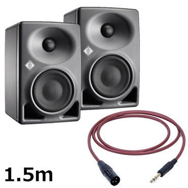 NEUMANN 【夏先取り大特価セール】KH 80 DSP A G  (ペア)【PASSGO REDスピーカーケーブルセット(TRS-XLR)1.5ｍ】(ノイマン)(モニタースピーカー)(KH80)(アクティブモニタースピーカー)