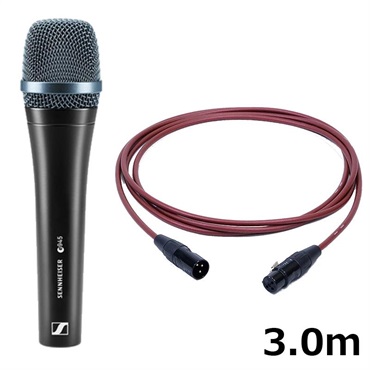 【夏先取り大特価セール】e945 【PASSGO REDマイクケーブルセット(XLR-XLR)3.0ｍ】(ダイナミックマイク)(超単一指向性・スーパーカーディオイド)(国内正規品2年保証)(ゼンハイザー e 945)