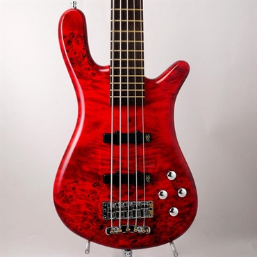 Pro Series Streamer LX 5st Birdseye Poplar Top (Dark Bleached Red TP HP) [Ikebe 50th Anniversary Special Edition] #013967