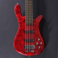 Pro Series Streamer LX 5st Birdseye Poplar Top (Dark Bleached Red TP HP) [Ikebe 50th Anniversary Special Edition] #013958