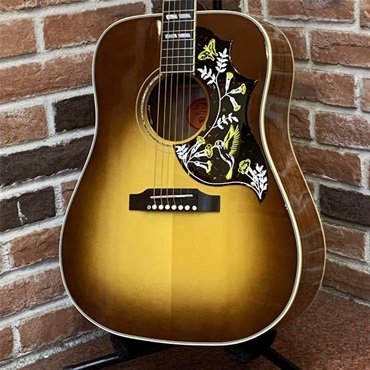 USED 中古 Hummingbird Koa Carpathian Spruce Honeyburst ギブソン