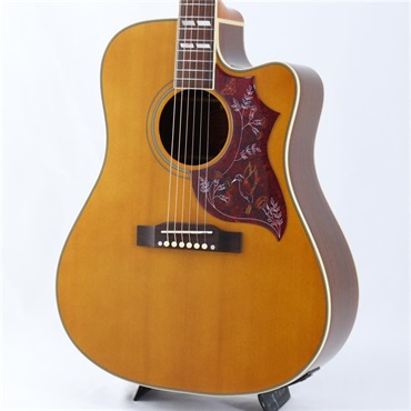 Hummingbird Standard EC （Antique Natural） エピフォン