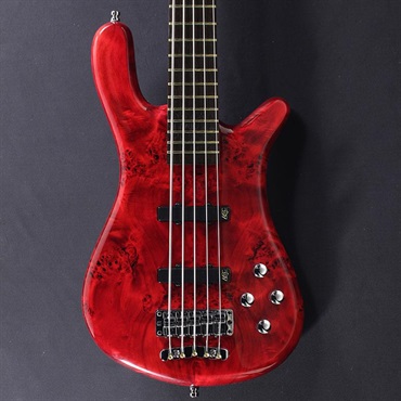 Pro Series Streamer LX 5st Birdseye Poplar Top (Dark Bleached Red TP HP) [Ikebe 50th Anniversary Special Edition] #013968