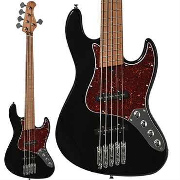 WJB5-1MS-DX-AC RSM/M (BLK)