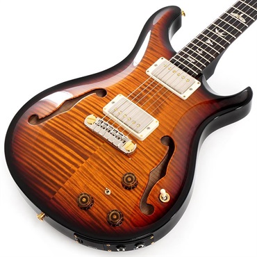Hollowbody II Piezo 10 Top (Custom Color) SN.0392819 【2024年生産品】
