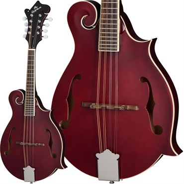 Epiphone F-5 Studio (Wine Red） エピフォン