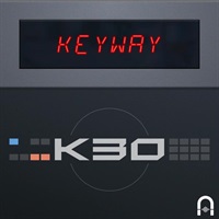 Keyway K30 Expansion Pack for Attracktive - ハイブリッドシンセ音源 Attracktive対応 拡張音源(オンライン納品)(2時間以内に納品)