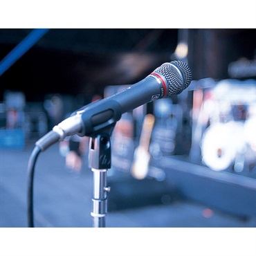 audio-technica AE6100 (オーディオテクニカ)(ダイナミックマイク)(ボーカルマイク)(ハイパーカーディオイド) 画像3